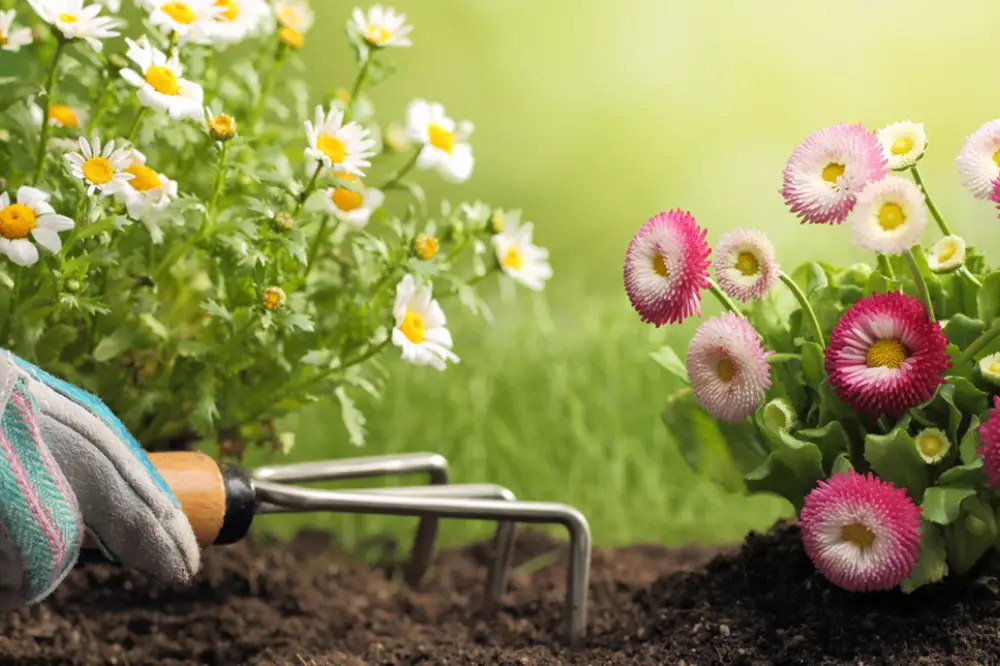 Gardening Diploma Level 3