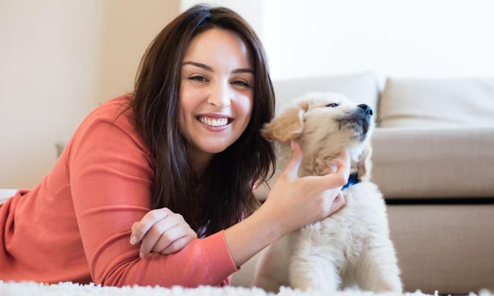 Diploma in Pet Dog Care