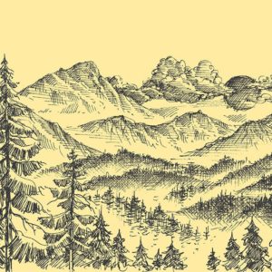 Sketch Drawing Diploma