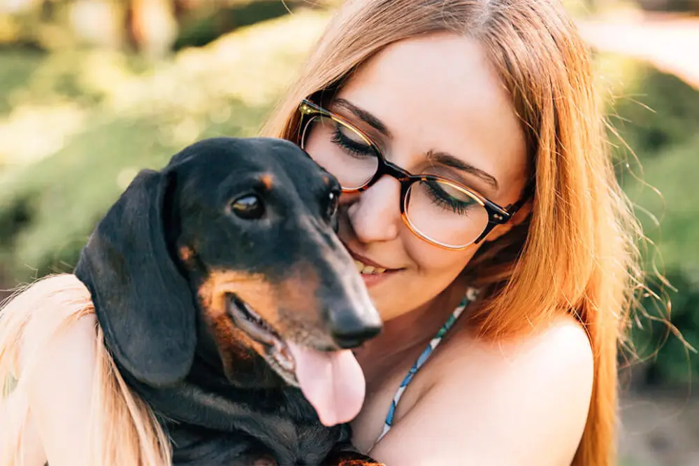 Multitudes Of Mammals: Choose Your Pet