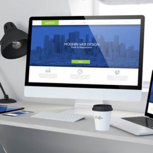 Web Development Intermediate Level