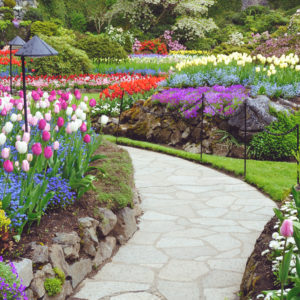 Garden Design & Landscaping Level 2