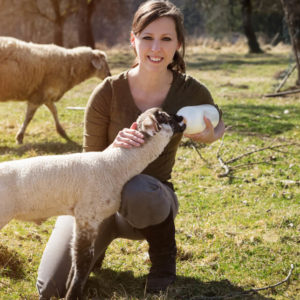 Pet and Animal Welfare