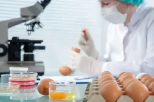 Level 2 HACCP Training Course