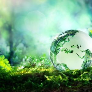Environmental Management Systems (EMS)