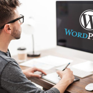 Level 2 Certificate in WordPress Web Design