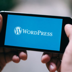 WordPress for Beginners