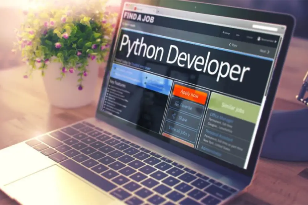 Diploma in C++ and Python Programming