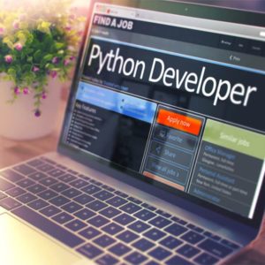 Diploma in C++ and Python Programming