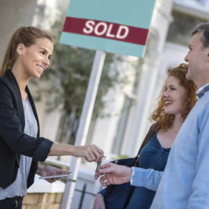 property development course online