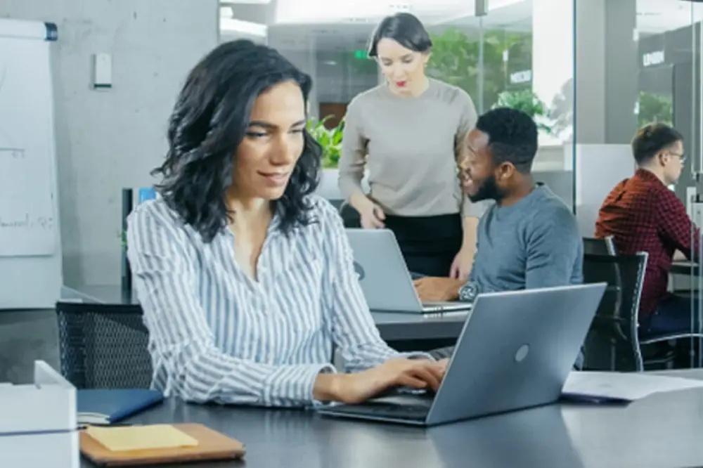 Microsoft Office Bundle