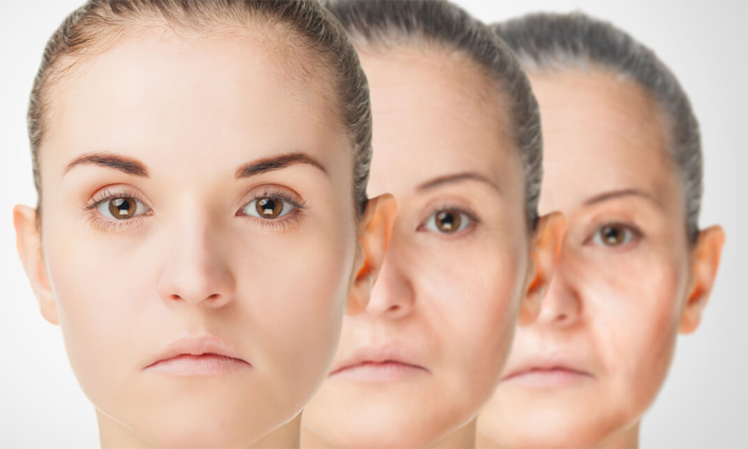 Aging and Longevity Secrets  Janets