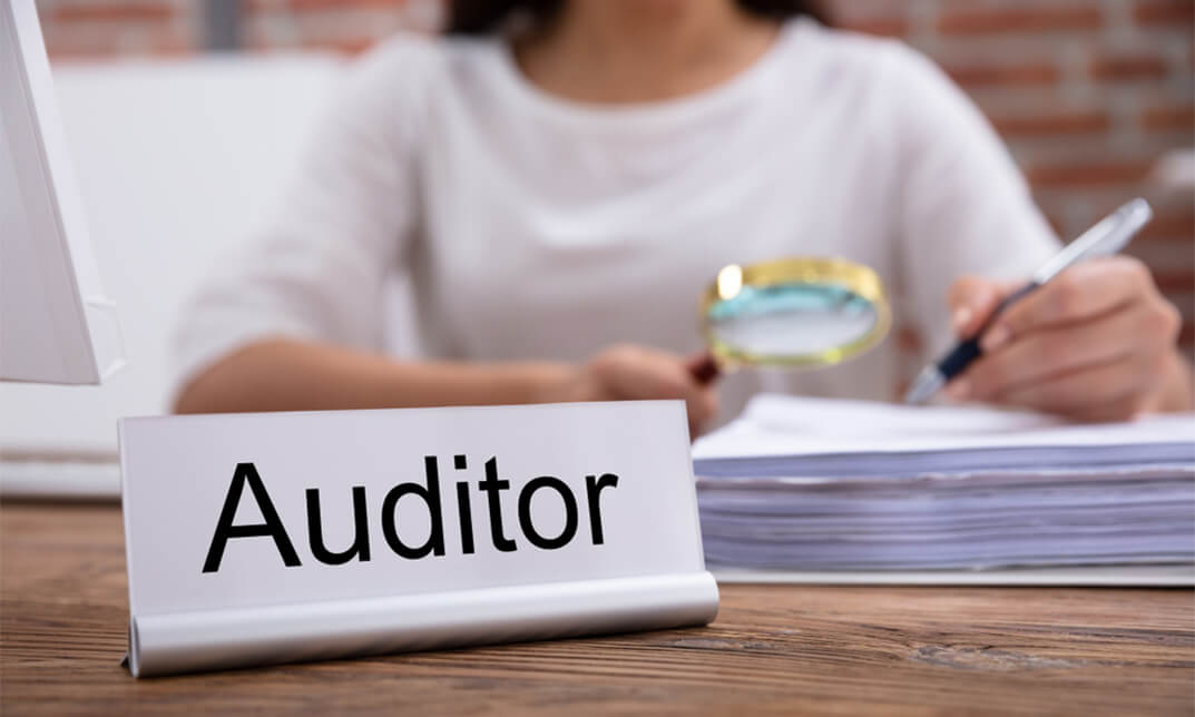 Internal Compliance Auditor