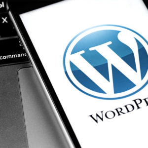 WordPress Developer