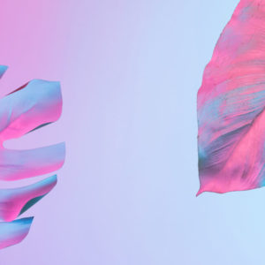 How to Discover Profitable Design Trends Before Anyone Else – and Create Artwork with Mass Appeal