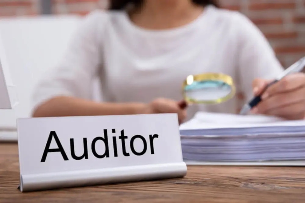 Internal Compliance Auditor