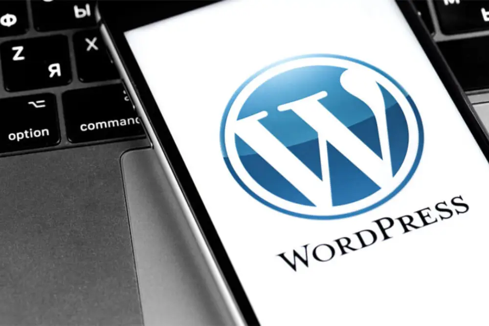 WordPress Developer