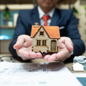 Property Development