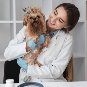 Advanced Diploma in Veterinary Care Assistant - Level 3