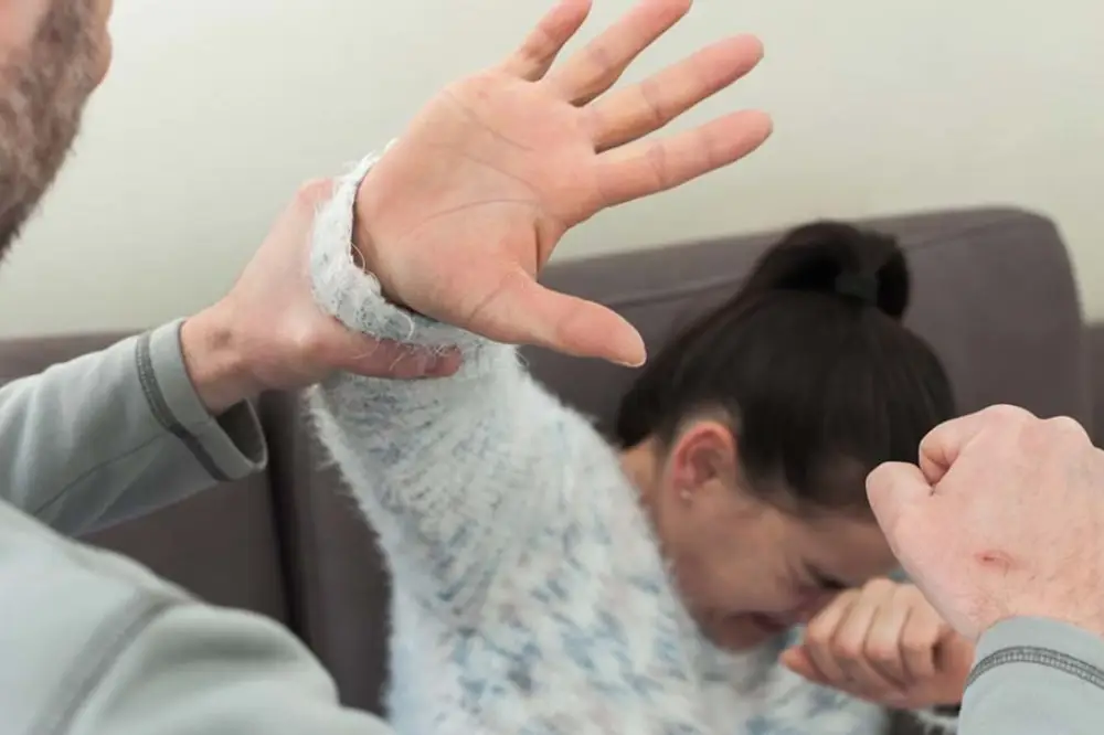 Domestic Violence and Domestic Abuse