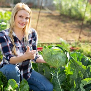Homesteading Gardening Diploma
