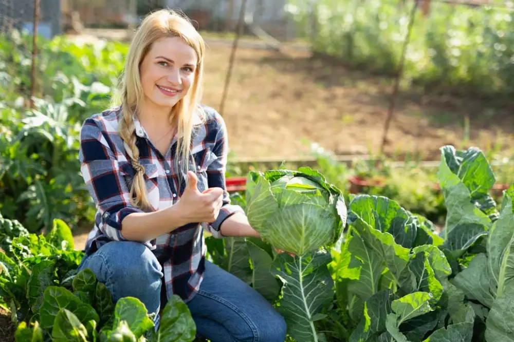 Homesteading Gardening Diploma