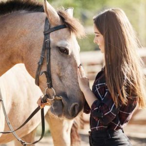 Horse Care and Stable Management
