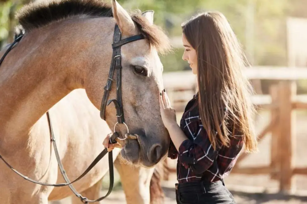 Horse Care and Stable Management