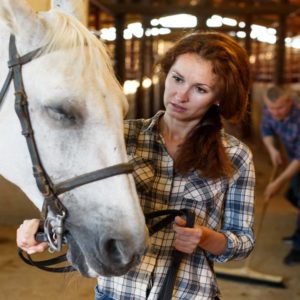 Horse and Stable Management