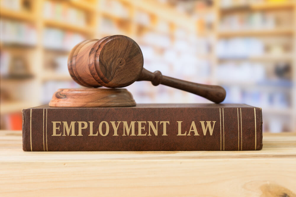 What is Employment Law