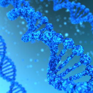 Genealogy and DNA Testing