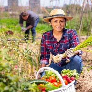 Homesteading Diploma