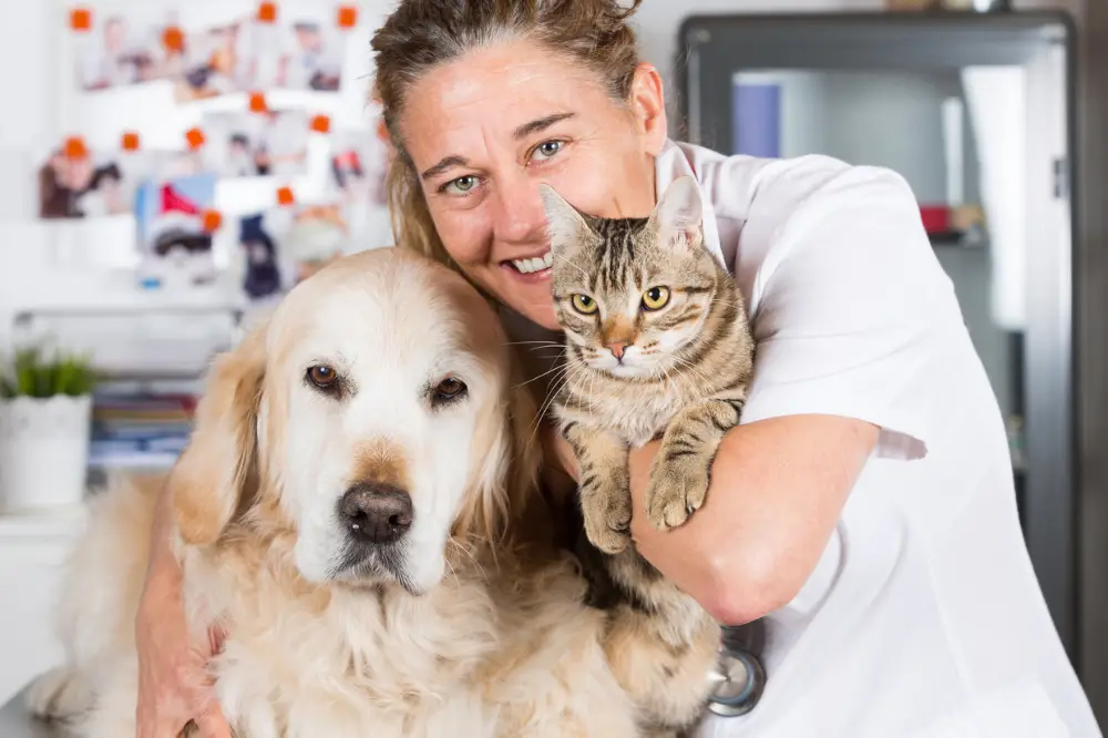 Pet Business Certificate (UK)