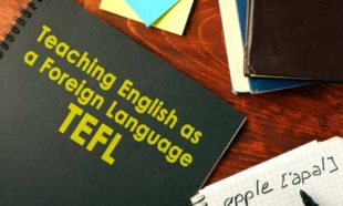 TEFL (TESOl) Masterclass: Exclusive 7 Courses in 1 Bundle