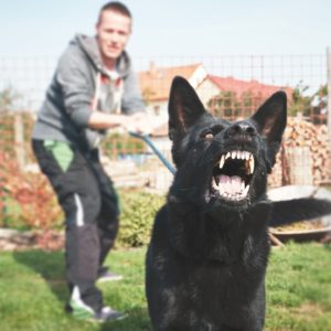 How to Stop Dog Attacks