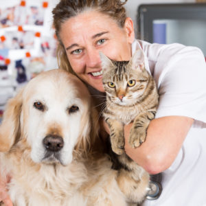 Pet Business Certificate (UK)