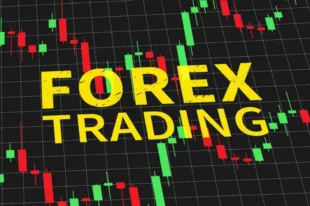 Forex Trading Course UK: 7 in 1 Complete Training