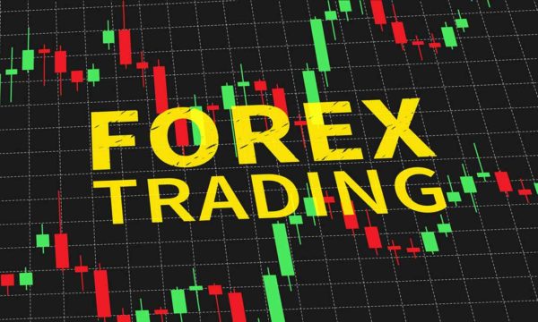 Forex Trading Course UK 7 in 1 Complete Training
