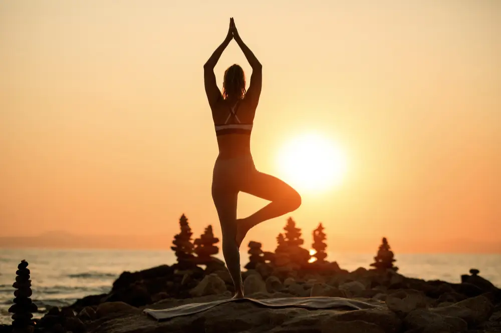 Mindfulness Meditation for Everyday Living