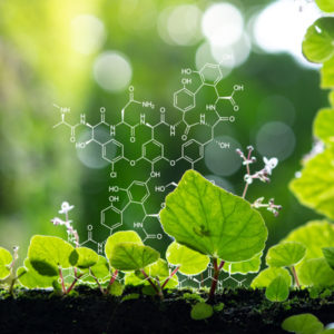 Organic Chemistry