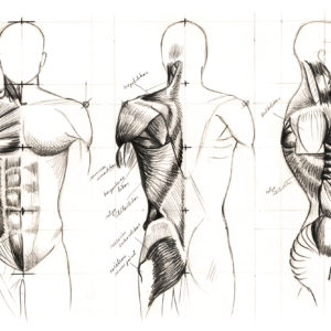 Drawing Human Actions to Master Figure Drawing and Painting