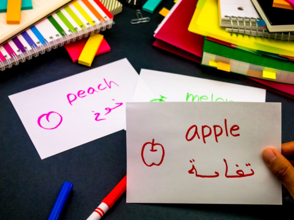 Arabic Language Course | Learn Arabic from Proverbs
