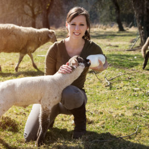Crystal Healing for Animals Certification