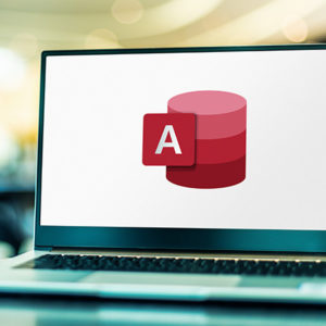 Microsoft Access Databases Forms and Reports