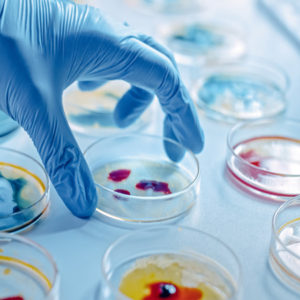 Diploma In Microbiology