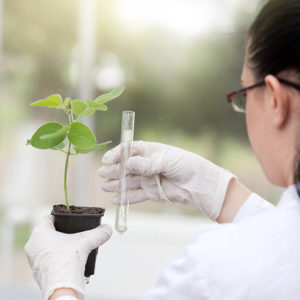 Agricultural Science