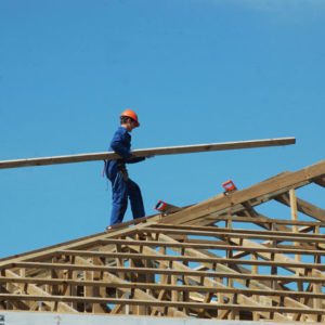 Carpentry Training: Floor Systems and Roof Framing