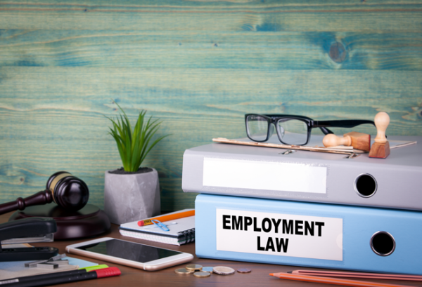 Build your competence in employment law and HR management through the comprehensive Employment Law and Employee Management for HR Managers All in One: 7 Exclusive Courses in 1 Bundle course.