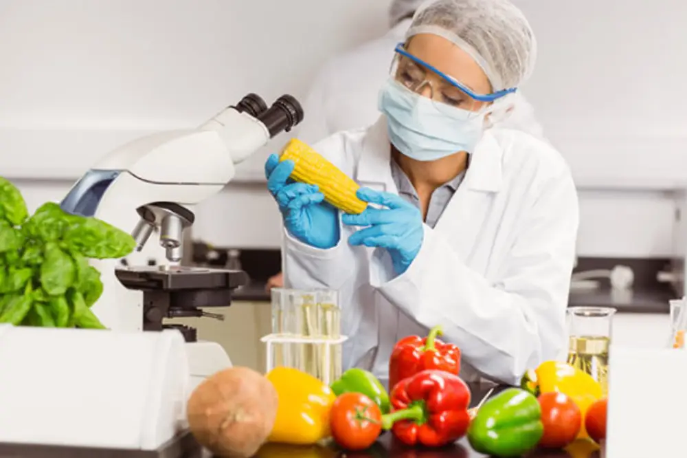 Food Safety Course: Microbes, Allergen Control & Cleaning