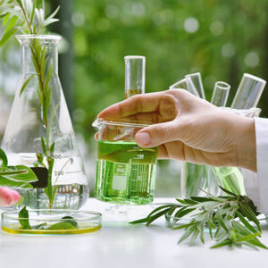 Fundamentals of Botany